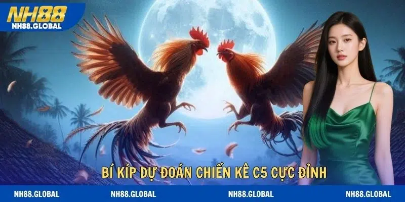 Bí kíp dự đoán chiến kê c5 cực đỉnh dành cho bạn mới