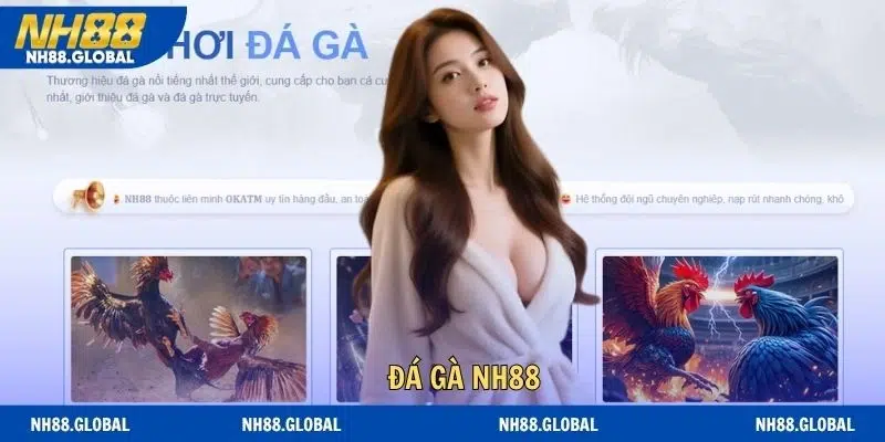 Đá Gà NH88 - Nghệ Thuật Chinh Phục Đấu Trường Kê Chiến 2026