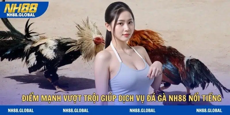 Điểm mạnh vượt trội giúp dịch vụ đá gà NH88 nổi tiếng