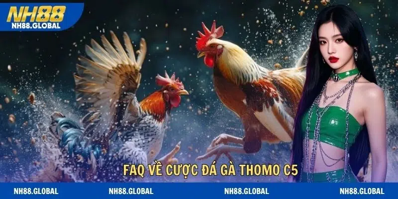 Giải đáp những câu hỏi thường gặp về cược đá gà thomo c5