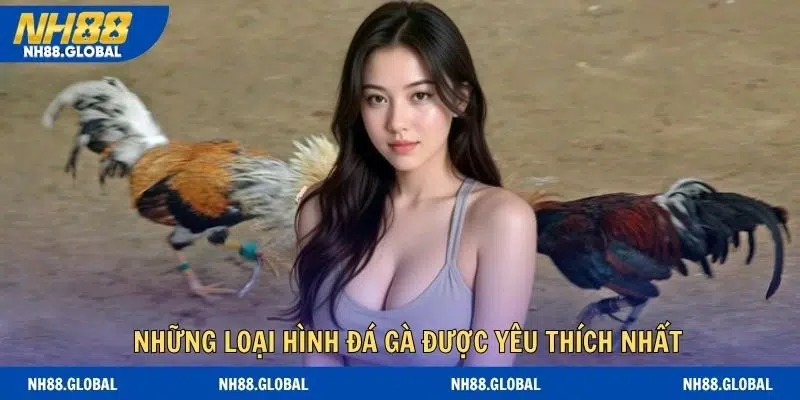 Danh sách những loại hình đá gà được yêu thích nhất tại NH88