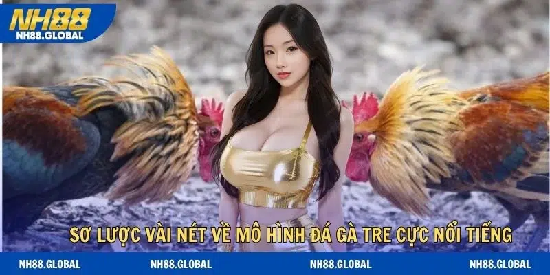 Sơ lược vài nét về mô hình đá gà tre cực nổi tiếng