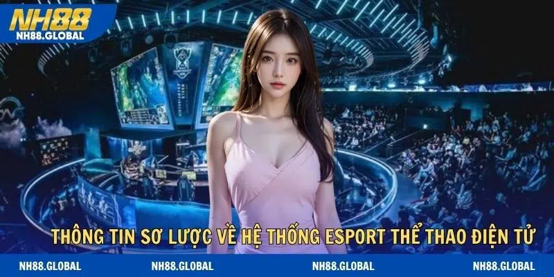 Thông tin sơ lược về hệ thống esport thể thao điện tử